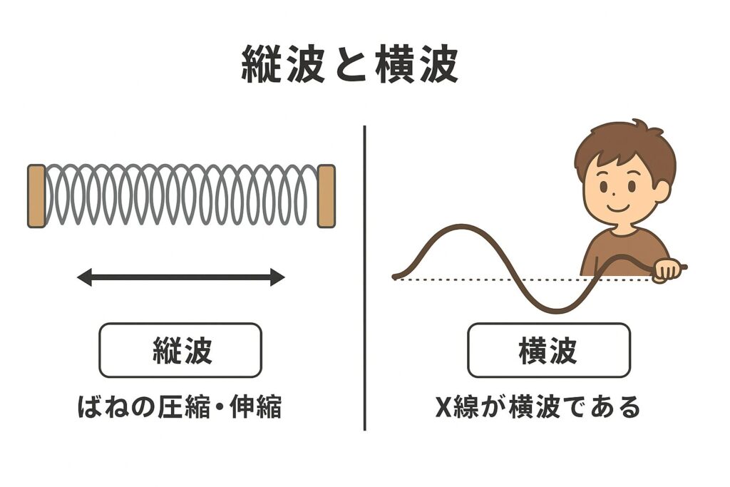 縦波と横波の違い