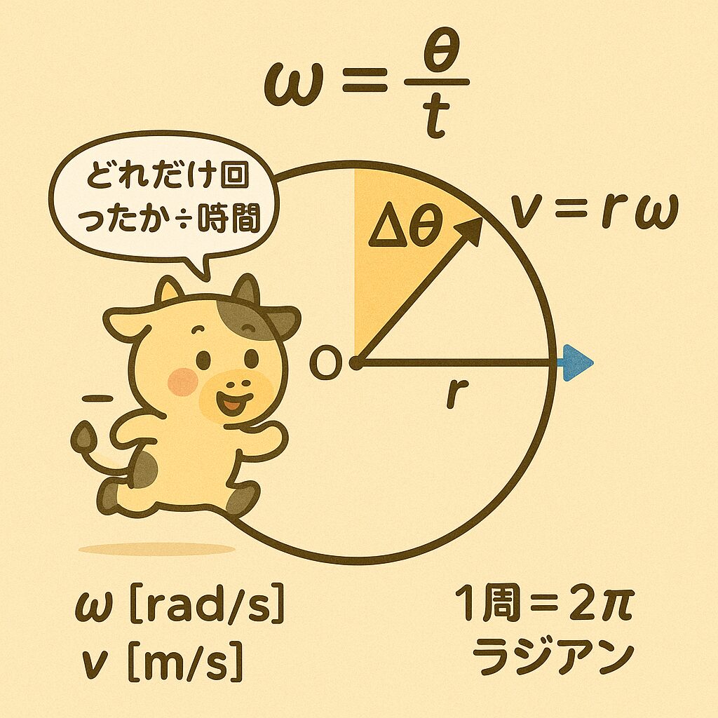 円運動における角速度の図。角速度ωは角度θを時間tで割ったもので、ω = θ / t。速さvは半径rと角速度ωの積で表され、v = rω。図中には「どれだけ回ったか ÷ 時間」という吹き出しがあり、1周が2πラジアンであることも示されている。