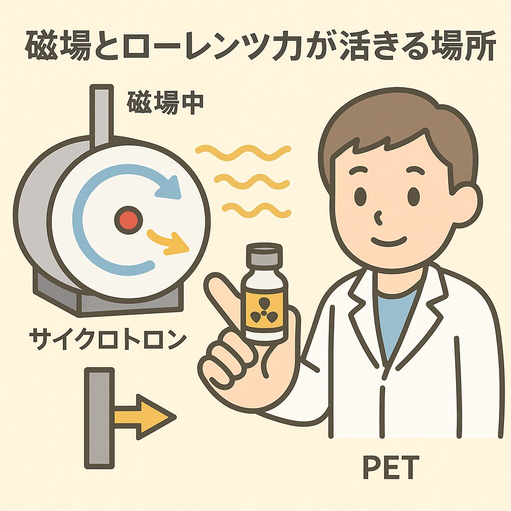 院内ではサイクロトロンでローレンツ力が働いています。