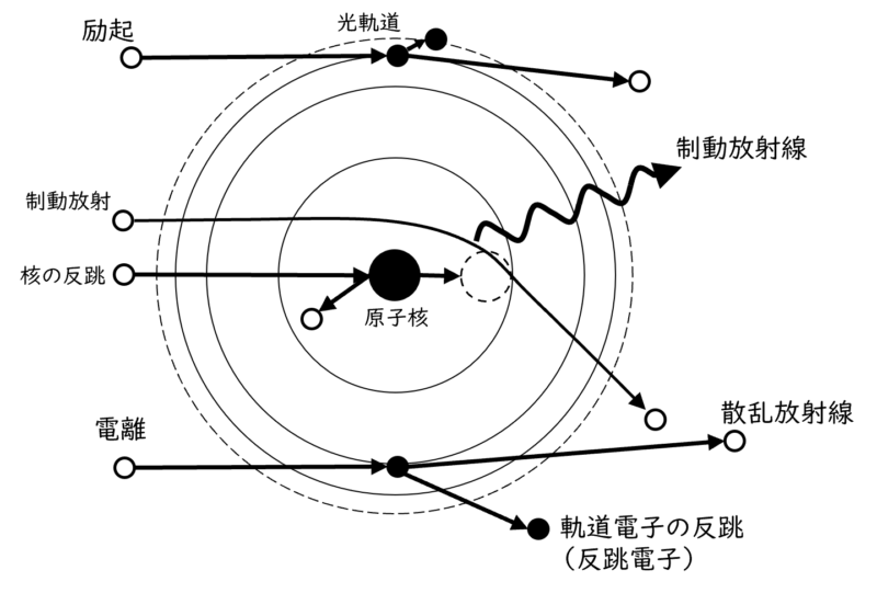 放射線と物質の大まかな相互作用の一覧図。